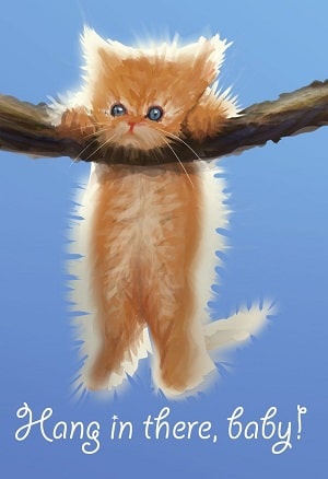 Hang in there